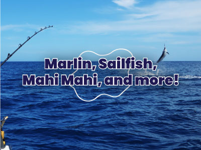 Cancun Deep Sea Fishing Mobile Banner